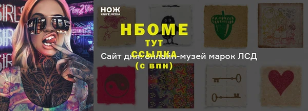 индика Россошь