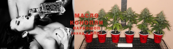 индика Россошь