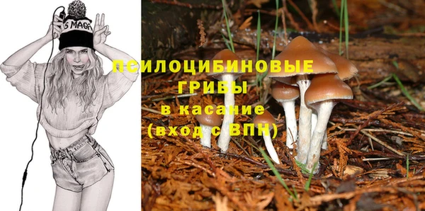 индика Россошь