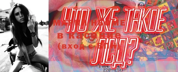 индика Россошь