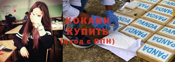 индика Россошь