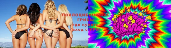2c-b Рославль