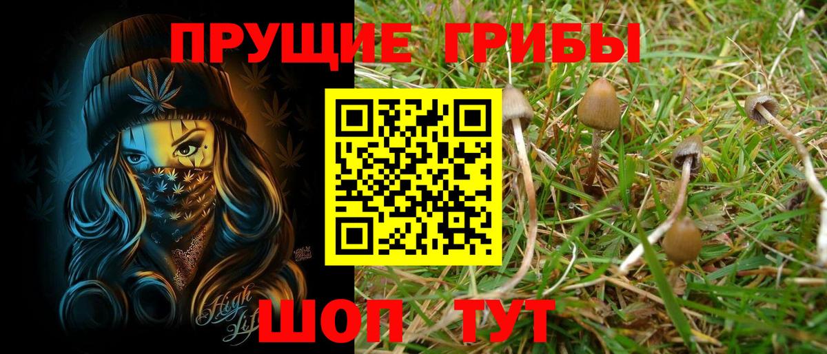 Галлюциногенные грибы Cubensis Краснодар