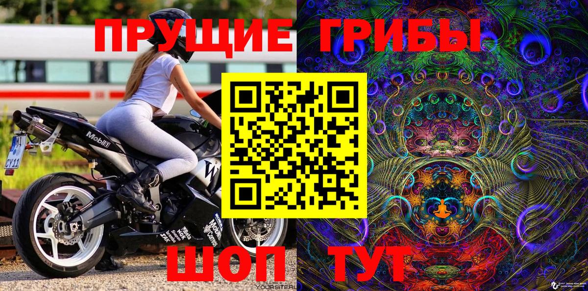 где купить наркоту  Псилоцибиновые грибы мухоморы  Вход с VPN  Краснодар  Галлюциногенные грибы Cubensis 